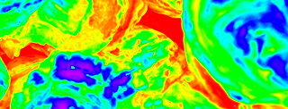 Oyster Heatmap