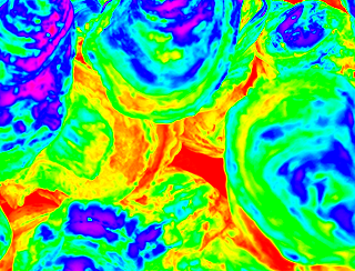 Oyster Heatmap