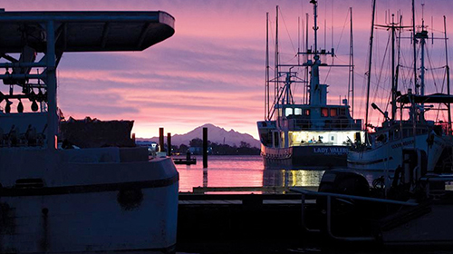 Boat in harbor